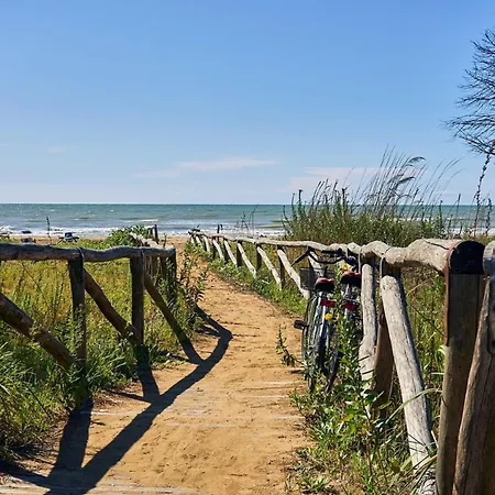 Coastal Comfort Flat Just 400m From The *